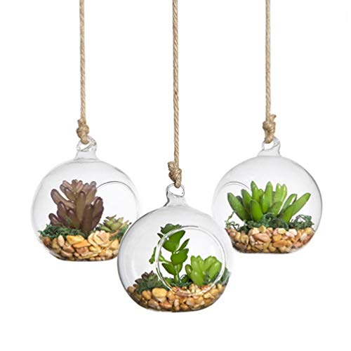 Yardwe Sembradoras de Vidrio Colgantes de Pared Sembradoras Transparentes Colgantes de Cristal Terrario Florero de Bolas de Vidrio para Plantas de Flores suculentas 1 Pieza