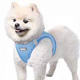 rabbitgoo Small Dog Harness, Step-in Soft Mesh Puppy Vest with Safety Buckle, Breathable Reflective Pet Harness for Small Sized Dogs, Blue S