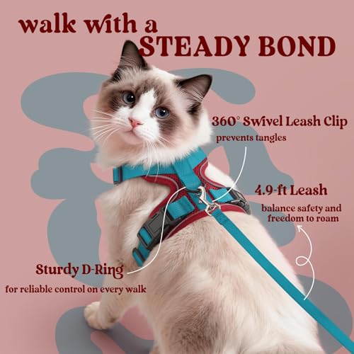 Image of rabbitgoo Cat Harness and Leash Set, Escape Proof Vest, Red & Teal | Soft Breathable Mesh, Easy Adjustable Fit, Snap Buckles, Sturdy Clip, Reflective Strips, for Average Cats Walks, S
