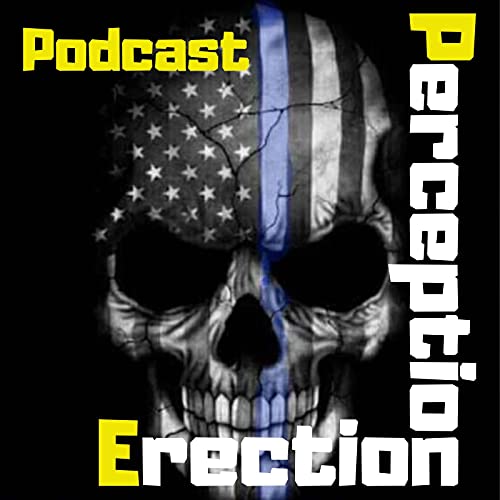 Perception Erection cover art