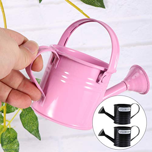 Hemoton 2 Unidades de Regador Pote de Metal para AspersÃ£o de Planta Frasco Spray para Bonsai Materi