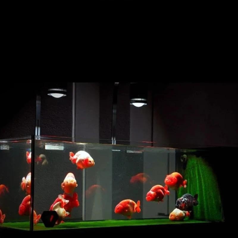 Amazon.co.jp: [MAYIN]スーパーカラー100W淡水金魚藻類植え付け水槽を