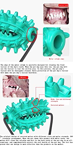 Aicoo Upgraded Dog Chew Toy Multifunction Pet Molar Bite Toy Pet Molar Bite Toy Durable Ropes Toy With Suction Cup Dog Toy Dog Squeaky Tug Toy For Dental Care Teeth Cleaning Separation Anxiety #TOP5