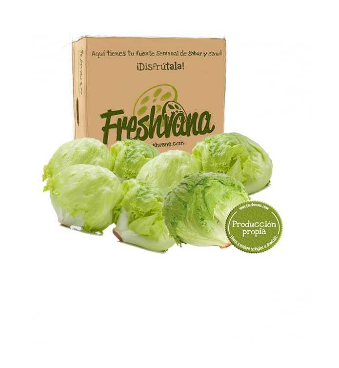 Freshvana Caja de Lechugas Iceberg Ecológicas 5 Ud | Ecológico, Lechgua Iceberg Freshvana, 5 Unidades, Entrega En 24h