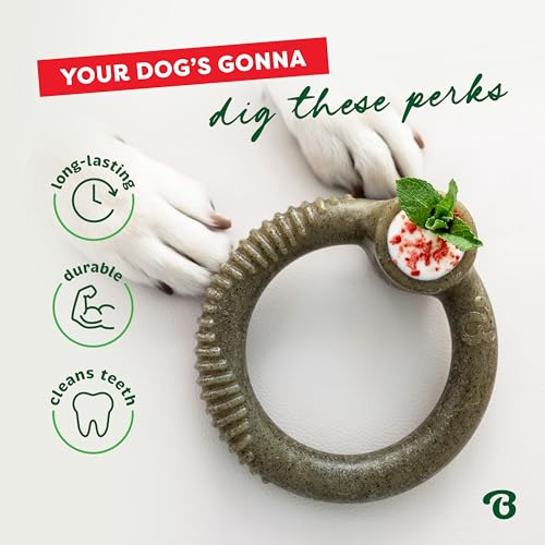 Image of Benebone Peppermint Ring - Limited Edition Holiday Flavor, Durable Chew Toy for Aggressive Chewers, Made in USA, Large
