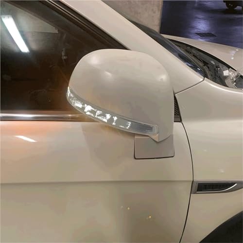Intermitente de retrovisor para Chevy Captiva 2007-2016 luz de giro lateral 12V 2