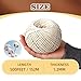 Natural Cotton Twine String - 1.2mm x 500 Ft for Cooking, Baking & Butchering | Butchers Twine (Natural White)
