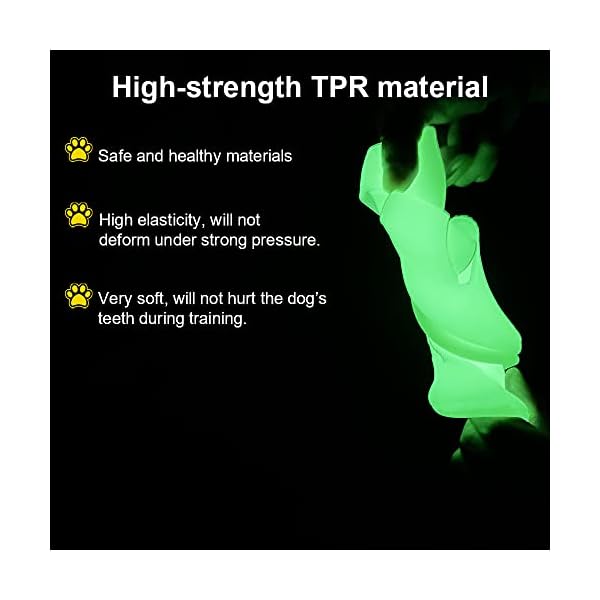 Lightweight Dog Catch and Fetch Toys