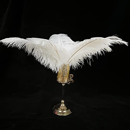 Happy Feather 16-18 Inch White Ostrich Feathers Craft For Wedding Party Centerpieces Home Decoration Diy Craft Pack Of 10 #TOP2