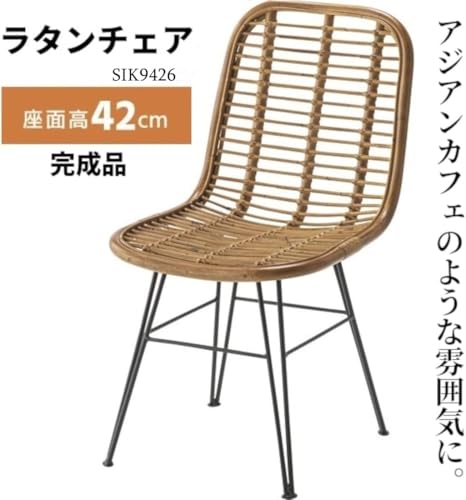 ダイニングチェア 椅子 スチール ラタン アジアン リゾート 店舗 [3]