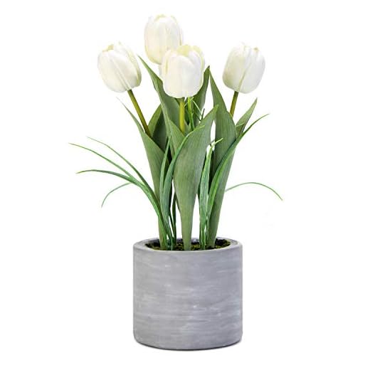 Jusdreen Artificial Potted Tulips Flowers with Cement Vase Vivid Tulip Flowers Arrangement for Home Office Décor House Decorations(5 White Tulips)
