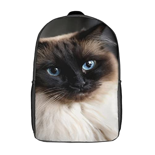 Sac à dos imprimé en 3D chat pour l'école - Grand cartable scolaire mixte 17 pouces