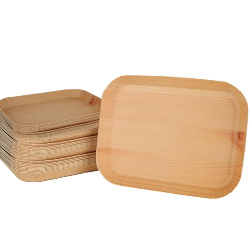 VIDETOL 100Pcs Disposable Palm Leaf Plates, 16.5×12.5CM Square Biodegradable Plates, Wooden Plate for Home, Outdoor Parties, BBQ and Picnics