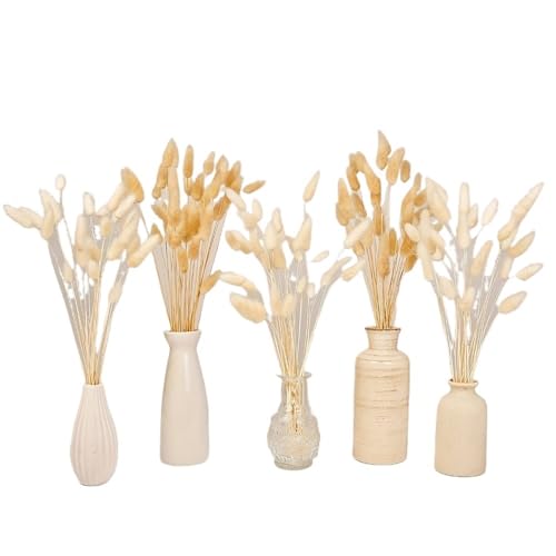Bouquet de 60 ramas de pasto pampas secas para decoración miniatura 3