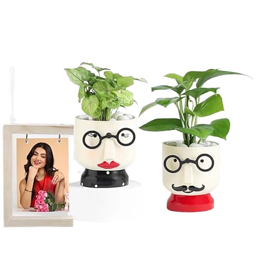 fnp Twin Hearts Planters-picture-24