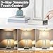 Rinweey Touch Control Table Lamps Set of 2, Modern Silver Bedside Lamps with USB A+C Ports & AC Outlet, 3 Way Dimmable Contemporary Nightstand Lamps for Bedroom Living Room(LED Bulb Included)