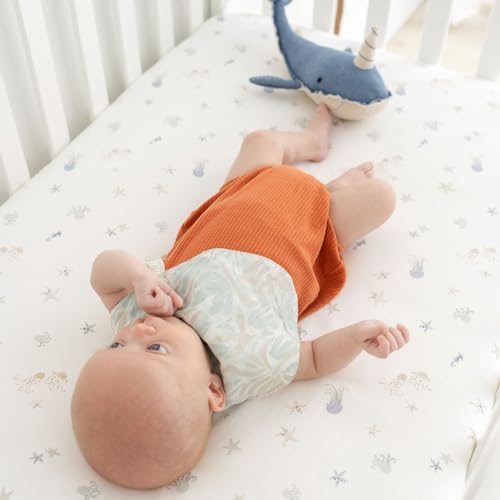 Crane Baby 100% Cotton Under The Sea Fitted Crib Sheet with Jellyfish Design, Neutral Crib Sheets, Fitted Toddler Sheet, 28" x 52" Standard Size Sea Life Crib Sheet
