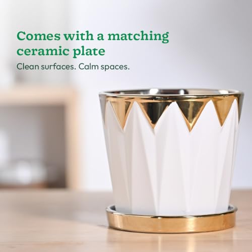 Image of UGAOO Crown Ceramic Pot - 5 Inch | Ceramic pots for Indoor Plants | Flower Pot for Garden Ceramic | Ceramic planters for Home Decor (Silver)