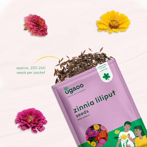 UGAOO Zinnia Lilliput Flower Seeds (Multicolour, Pack of 200)