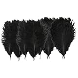 TIDTALEO 20個 ブラックオーストリッチフェザー 自然羽根 花瓶装飾 帽子用ハンドクラフト 結婚式やパーティーの飾り用
