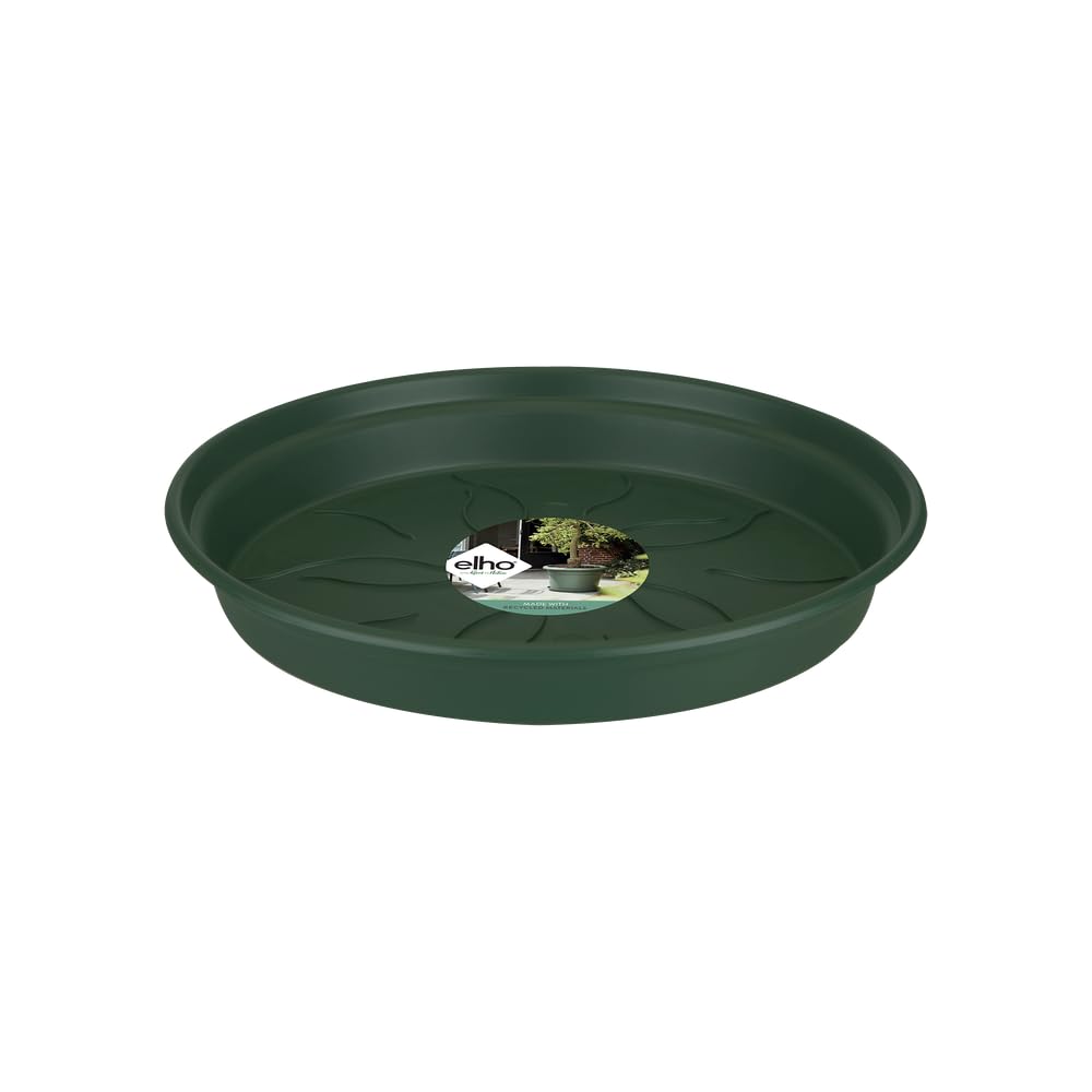 Elho Leaf Green Green Basics Saucer 25 - Saucer For Indoor, Outdoor, Grow Your Own & Accessories - Ø 25.5 X H 3.6 Cm - Green