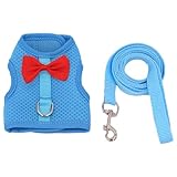 Kixolazr Arnés de Conejo, arnés para cobayas – Arnés de Malla para Animales pequeños, arnés y Lino, Resistente a los Golpes, Juego de arnés Ligero para Gatitos