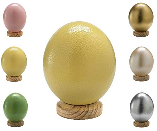 Klocke Dekorationsbedarf Huevo de avestruz sudafricano de colores – Alta calidad – 1 pieza (sin base) – Vaciado, soplado y limpiado (amarillo)