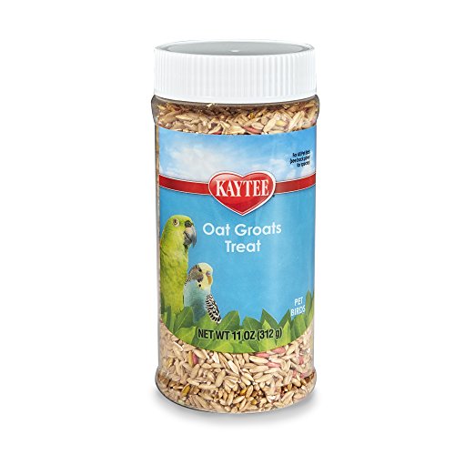 Kaytee Oat Groats Bird Treat