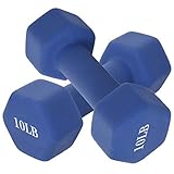 KLDJHNS A Pair Dumbbell Barbell Neoprene Coated Hand Weights, Dumb Bells Weights Set, 10lb Dumbbells...