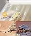 MouMouPurr 3 Pack T5 10.0 UVB Reptile Light Bulb 24W 22 Inch - UVA/UVB Lamp for Bearded Dragons, Chameleons, Turtles, Tortoises & Lizards - Desert & Tropical Reptiles