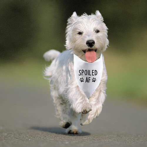 2 Pack Spoiled Af Dog Bandana, Funny Dog Owner Gift, Dog Lover Gift,Pet Accessories For Dog Puppies And Pets #TOP6