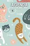  Agenda Escolar 2021-2022: niña niño infantil Gato , Cuaderno colegio primaria por colegios , 1 día = 1 página , Agendas Escolares Septiembre 2021 - 10 JULIO 2022