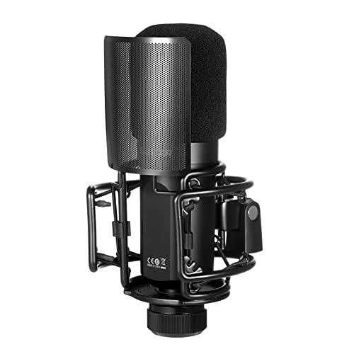 lifcasual TAKSTAR PC-K750 Microfone de Gravação Profissional Mic Condensador XLR Mic de Estúdio Card