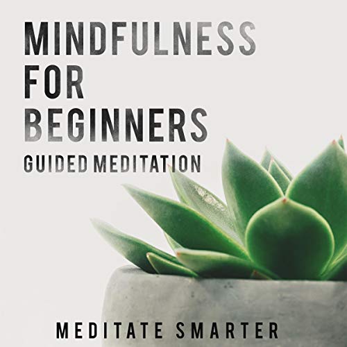 Cover art for Mindfulness for Beginners: Guided Meditation for Sleep, Anxiety and Self Healing
