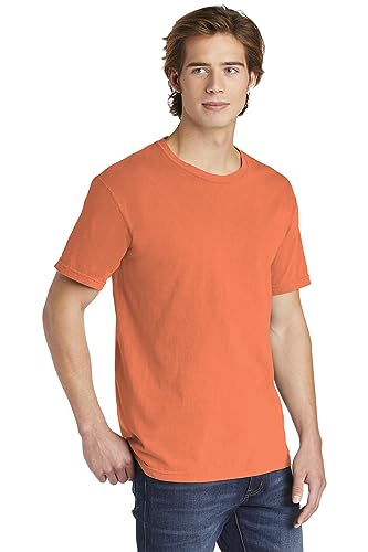 Image of Comfort Colors Adult Short Sleeve Tee, Style G1717