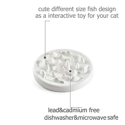 7 Best Slow Feeder Cat Bowls to Slow Down Eating (2023 Review)