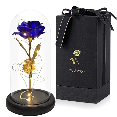 Die Schöne und das Biest Rose Blau in Glaskuppel, blaue künstliche Blume für immer perfekte Rose, Dekoration für Mutter, Ehefrau, Freundin, Geschenke für Valentinstag, Jahrestag, Muttertag Cover