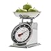 Taylor Mechanical Kitchen Food Scale with Bowl, Weighs Up to 11lbs, Measures in Grams and Ounces, Analog Cooking Scale for Baking, Black and Silver