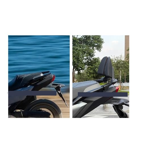 Dossier arrière de passager ADX TG400 coussin dossier Sabertooth 400 modifié