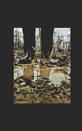 Puddles: a journey through grief