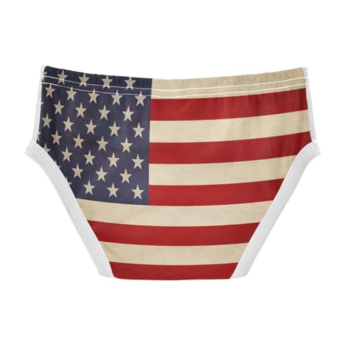 ALAZA Old American Flag Boys' Briefs Soft Underwear Available in Sizes 2t-8y2