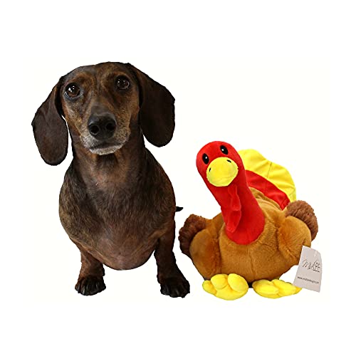 Midlee Thanksgiving Turkey Dog Toy #TOP2