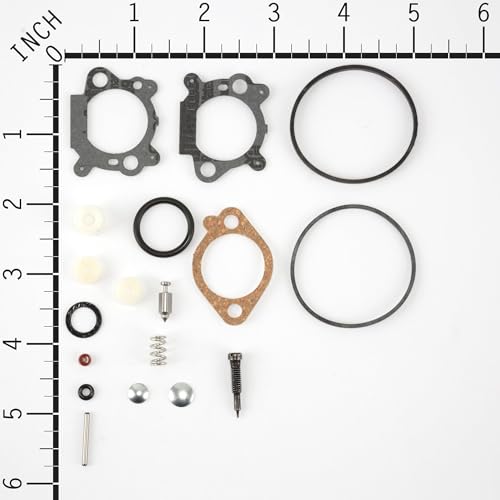 Briggs & Stratton 498260 Carburetor Overhaul Kit