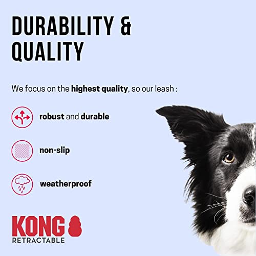 KONG ausrollbare Hundeleine 'Trail' I hochwertige Rollleine mit Break & Lock System I lange Leine für Hunde I hochwertige Hundeleinen in verschiedenen Farben I Blau I Länge: 5 m I Gr. M