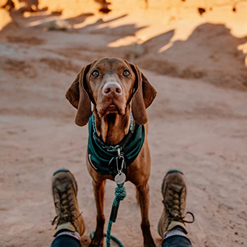 Image of Wilderdog Dog Bandana with Lightweight Quick Drying Poly-Blend Mesh Material in Evergreen