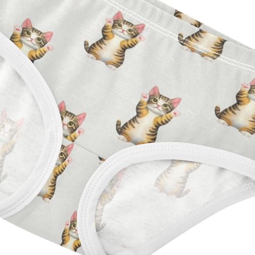 Toddlers Underwear Floral 2t Cotton Panties Little Girl Designer Briefs Underpants Cute Cats Grey Animal4