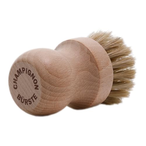 TelMo Champignonbürste, Rosshaar und Buchenholz, Handliche Pilzbürste zur Trockenreinigung