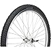 Blackburn Mountain Bike Tire 18