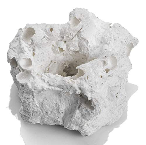 Aquanetta Hand-Made Reef Coral Base With Hole, Small, Pack of 100