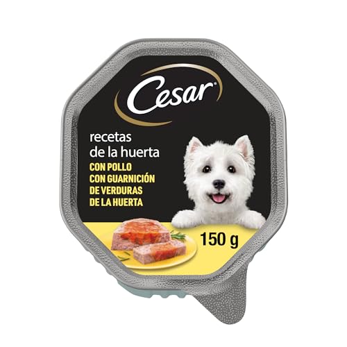 Cesar Tarrina de Comida Húmeda para Perro en Paté y Gelatina, Recetas de la Huerta (150g)